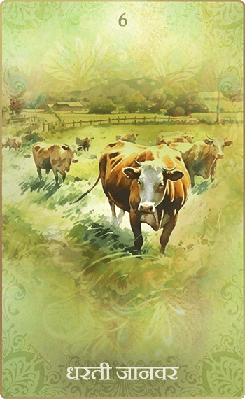 �Ϥ����á�6