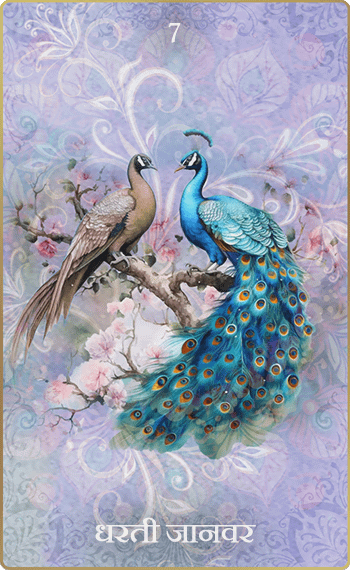 �Ϥ����á�7