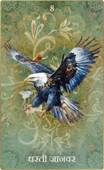 �Ϥ����á�8