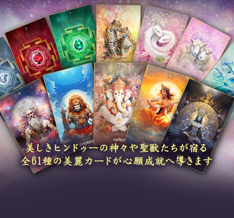 �������ҥ�ɥ����ο��������ä������ɤ���61������參���ɤ�����������Ƴ���ޤ�