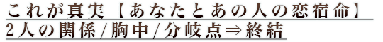 これが真実【あなたとあの人の恋宿命】2人の関係/胸中/分岐点⇒終結 これが真実【あなたとあの人の恋宿命】2人の関係/胸中/分岐点⇒終結