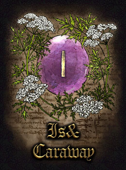 Is&Caraway