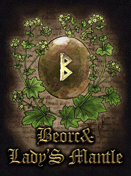 Beorc&Lady'S Mantle