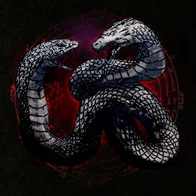 AMPHISBAENA　アンフェスバエナ