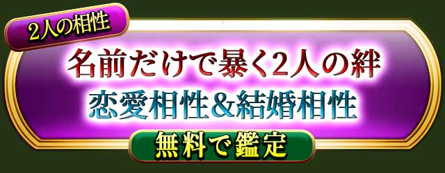 2�ͤ�����
̾��������˽��2�ͤ��
�����������뺧����
̵���Ǵ���