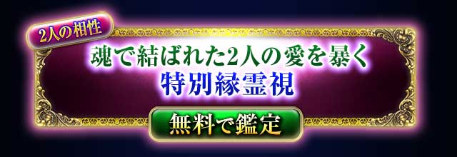 2人の相性
魂で結ばれた2人の愛を暴く
特別縁霊視
無料で鑑定