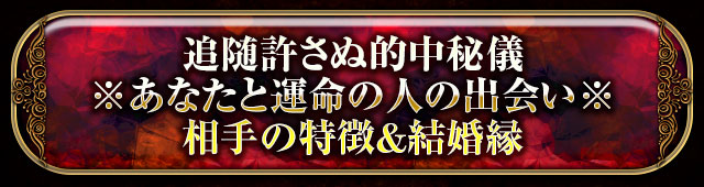 追随許さぬ的中秘儀
※あなたと運命の人の出会い※
相手の特徴＆結婚縁