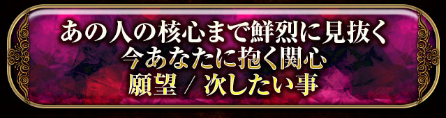 あの人の核心まで鮮烈に見抜く
今あなたに抱く関心
願望/次したい事