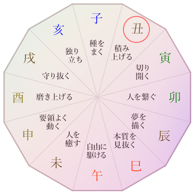 丑