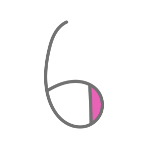 6