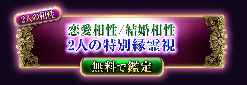 2�ͤ�����
��������/�뺧����
2�ͤ����̱����
̵���Ǵ���