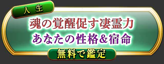 ����
�����ä�¥��������
���ʤ������ʡ���̿
̵���Ǵ���