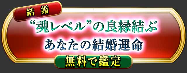 �뺧
�Ⱥ���٥�ɤ��ɱ���
���ʤ��η뺧��̿
̵���Ǵ���