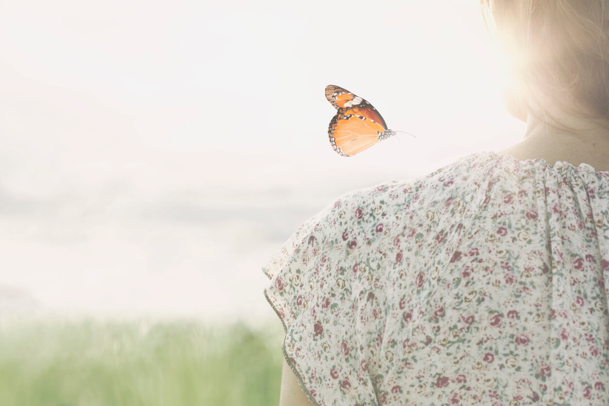 夢占い｜蝶の夢の意味は？人生での成長・大事な時期が訪れる暗示